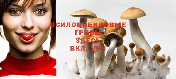 стафф Бугульма