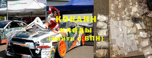 гидра Бронницы