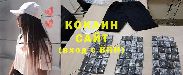 гидра Бронницы
