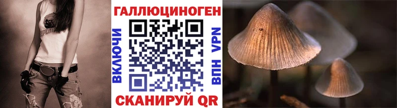 Псилоцибиновые грибы мухоморы  закладка  маркетплейс наркотические препараты  Шуя 