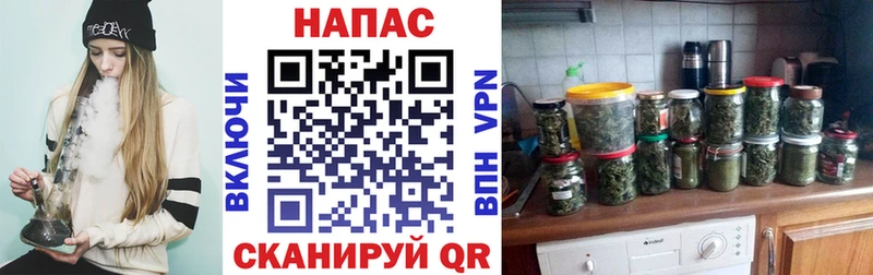 Каннабис сатива  Шуя 